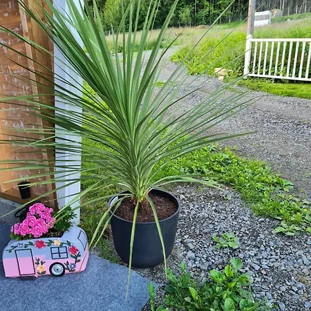 Rodseth Gardsovernatting Dobbeltrom Vendégház Molde