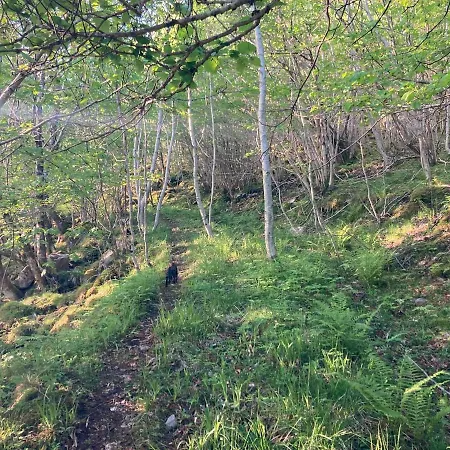 Rodseth Gardsovernatting Dobbeltrom Vendégház Molde